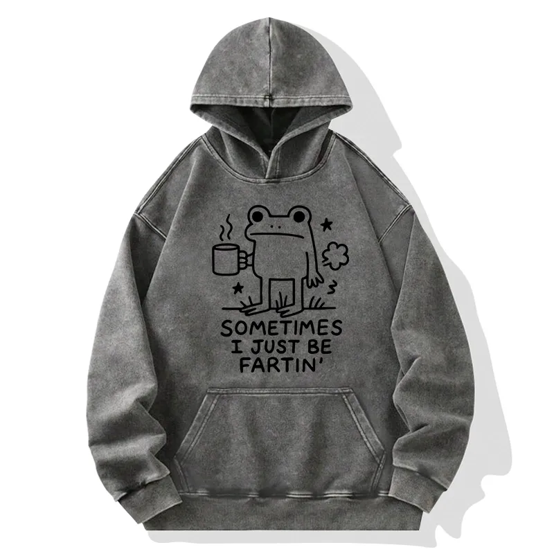 Tokyo-Tiger Sometimes A Frog Just Needs To Fart Washed Hoodie