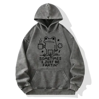Tokyo-Tiger Sometimes A Frog Just Needs To Fart Washed Hoodie