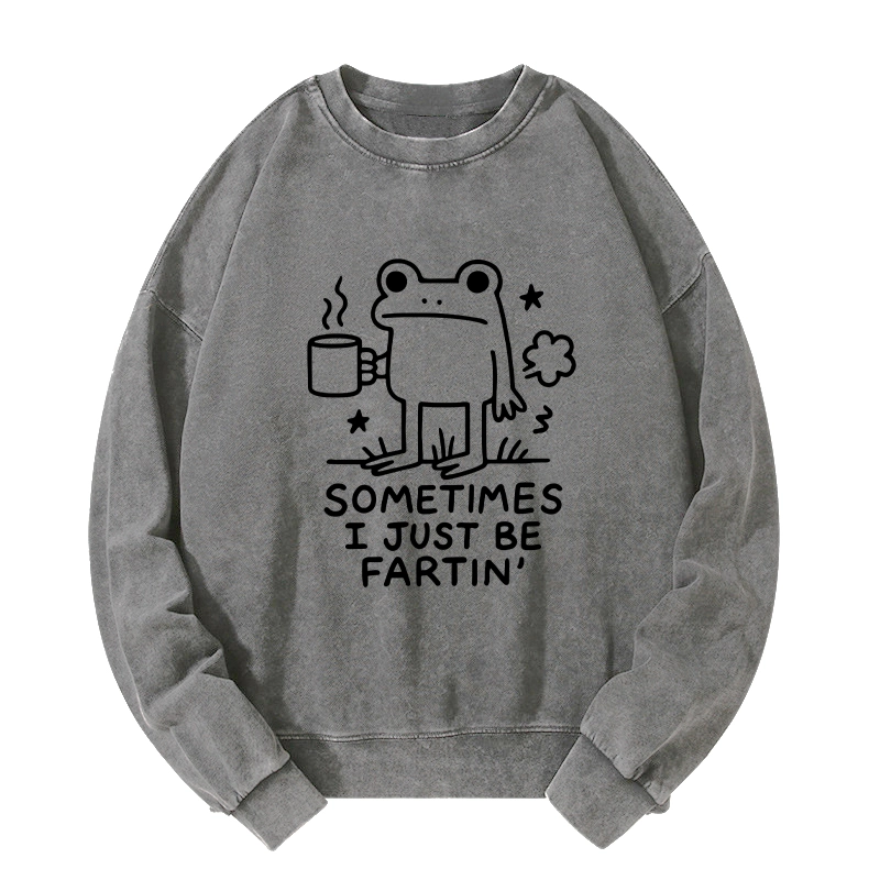 Tokyo-Tiger Sometimes A Frog Just Needs To Fart Washed Sweatshirt