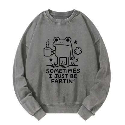 Tokyo-Tiger Sometimes A Frog Just Needs To Fart Washed Sweatshirt