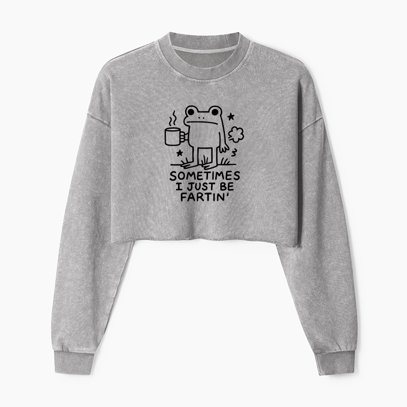 Tokyo-Tiger Sometimes A Frog Just Needs To Fart Washed Crop Sweatshirt