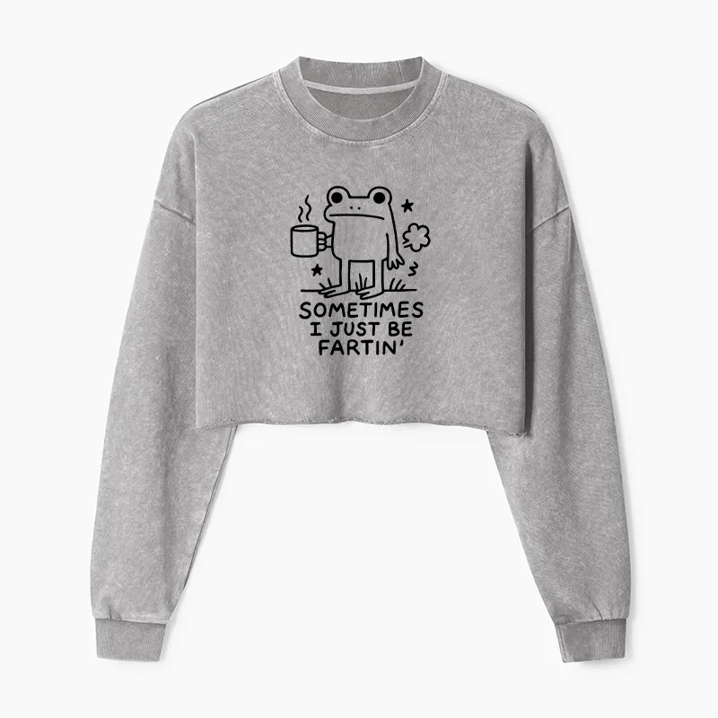 Tokyo-Tiger Sometimes A Frog Just Needs To Fart Washed Crop Sweatshirt