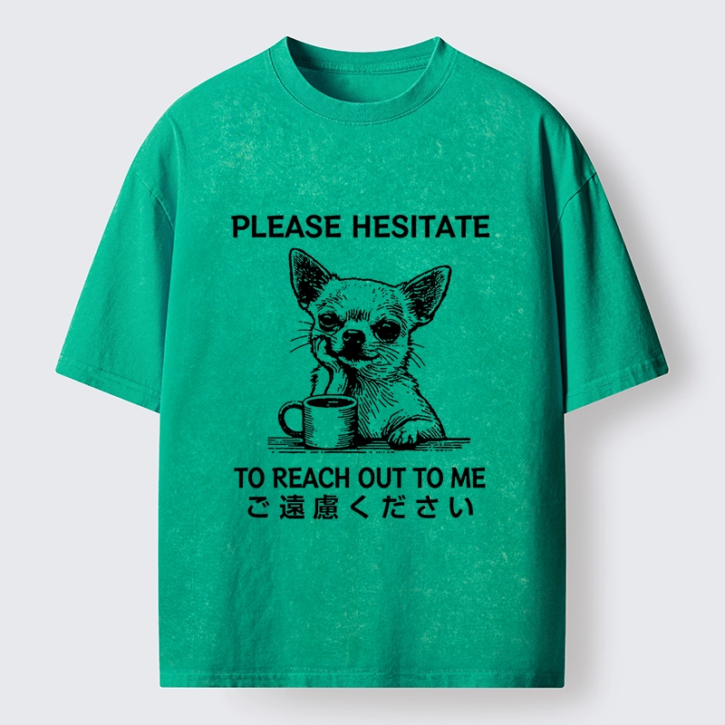 Tokyo-Tiger Little Dog Prefers Being Left Alone Washed T-Shirt