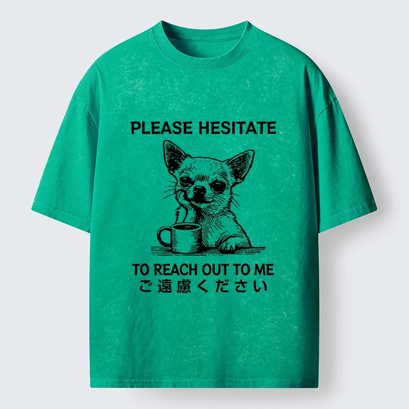 Tokyo-Tiger Little Dog Prefers Being Left Alone Washed T-Shirt