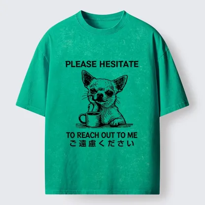 Tokyo-Tiger Little Dog Prefers Being Left Alone Washed T-Shirt
