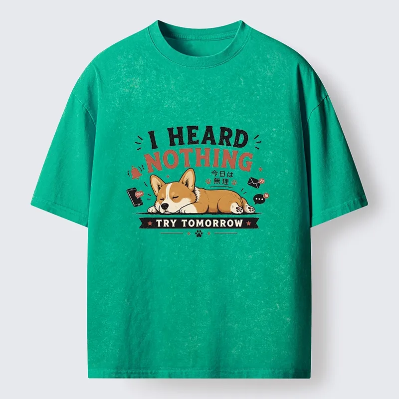 Tokyo-Tiger I Heard Nothing Today Washed T-Shirt