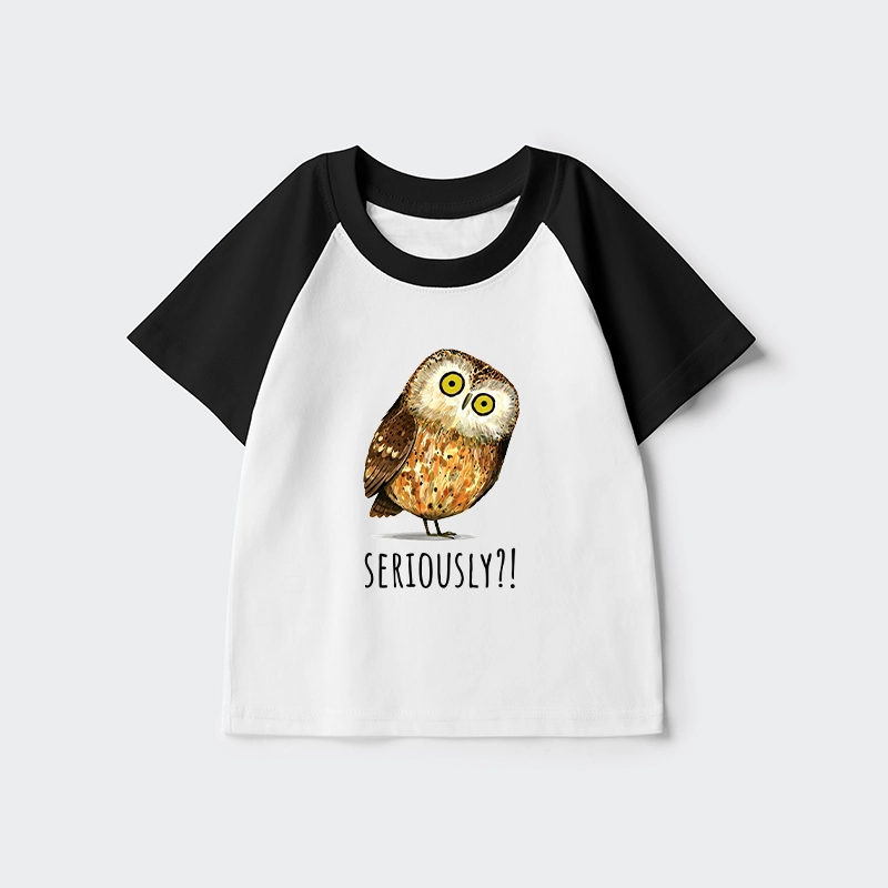 Tokyo-Tiger Seriously Confused Owl Meme Art Kids Raglan T-shirt