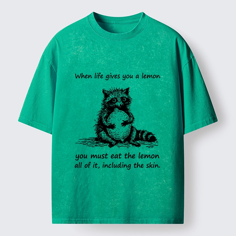 Tokyo-Tiger Sour Lemon Raccoon Funny Meme Washed T-Shirt