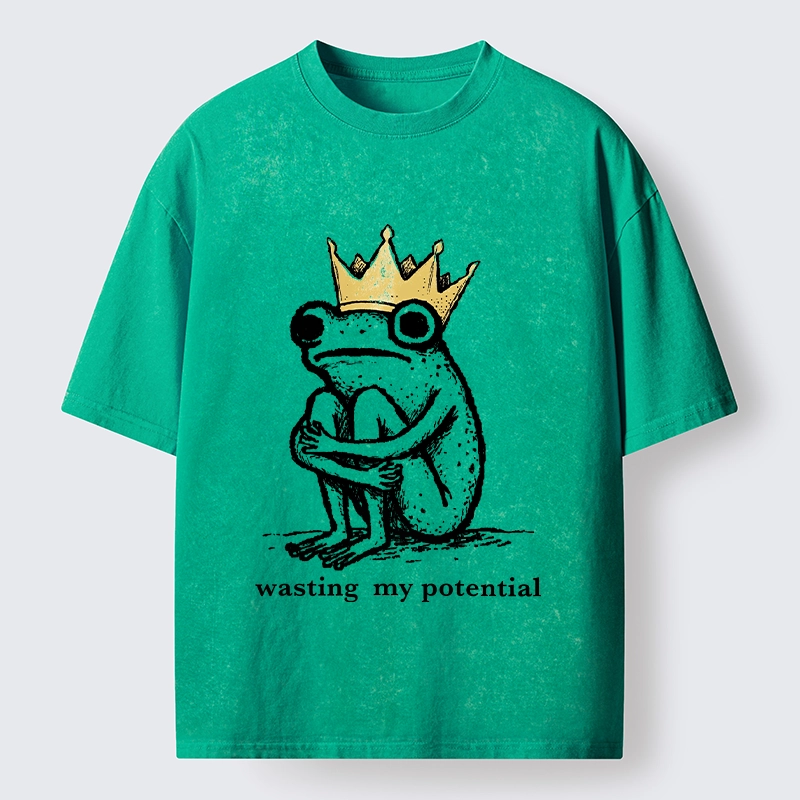 Tokyo-Tiger Crown Frog Wasted Potential Meme Washed T-Shirt