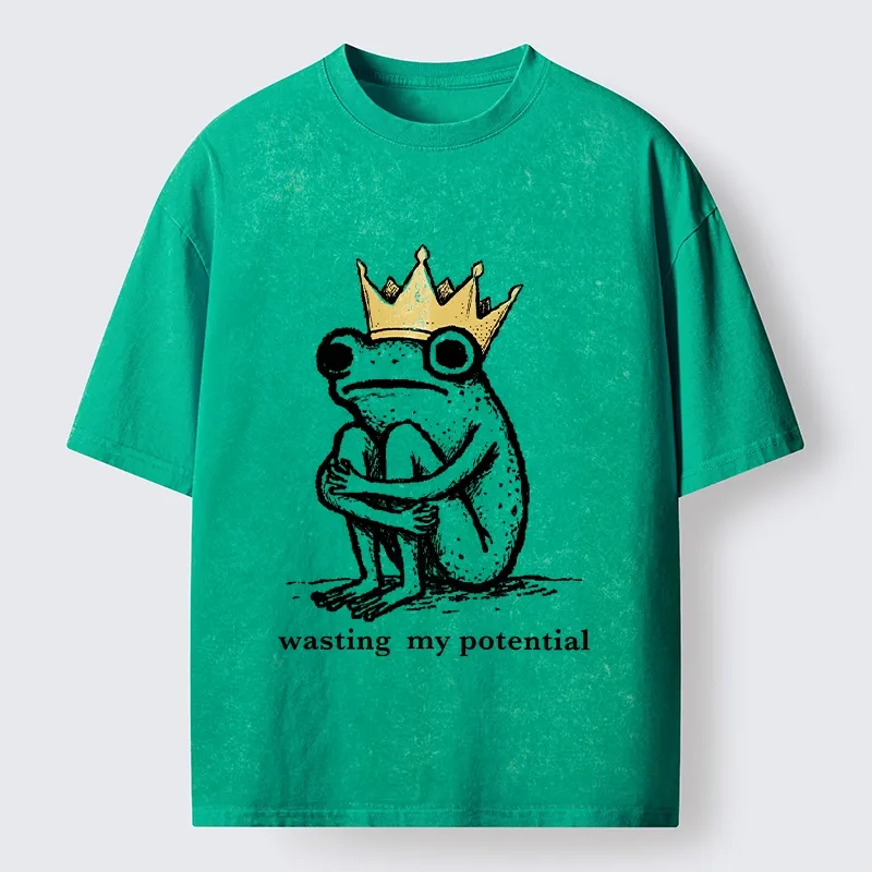 Tokyo-Tiger Crown Frog Wasted Potential Meme Washed T-Shirt Sale