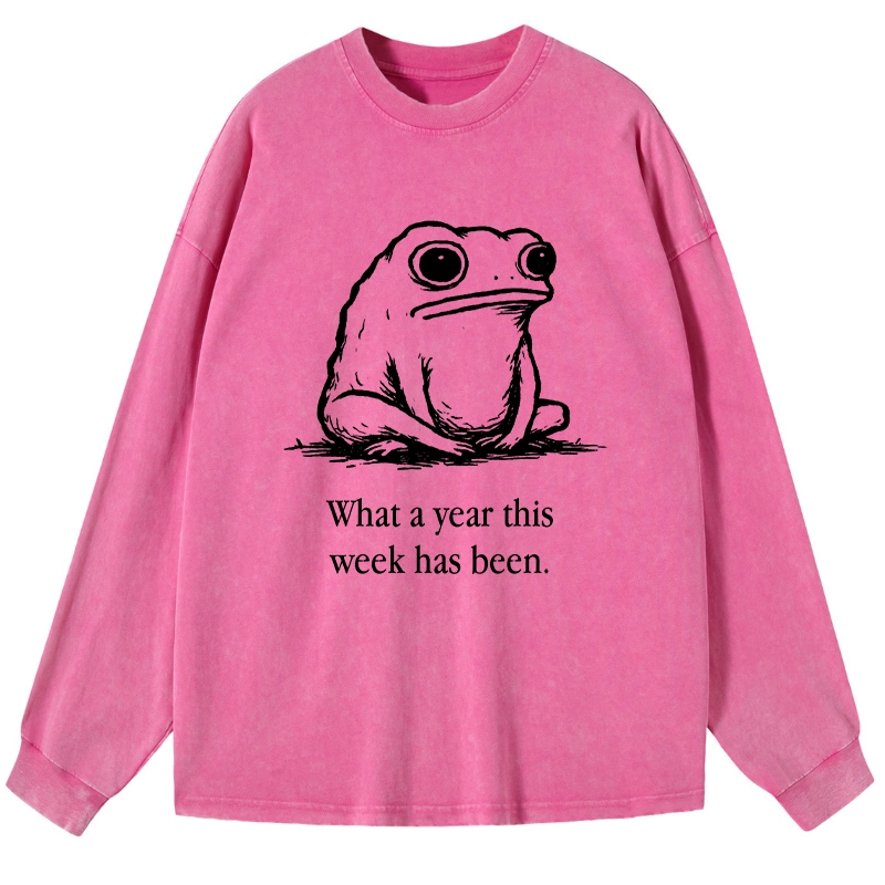 Tokyo-Tiger This Week Feels Like A Whole Year Washed Long Sleeve T-Shirt