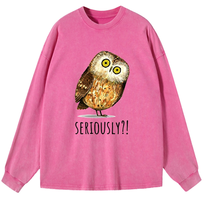 Tokyo-Tiger Seriously Confused Owl Meme Art Washed Long Sleeve T-Shirt
