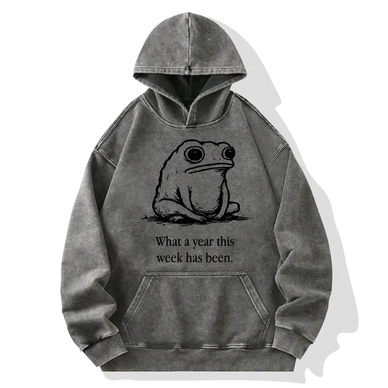 Tokyo-Tiger This Week Feels Like A Whole Year Washed Hoodie