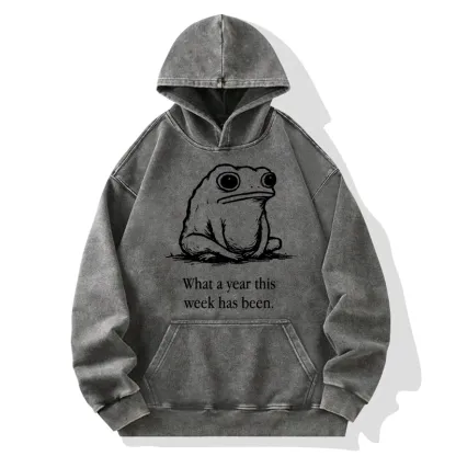 Tokyo-Tiger This Week Feels Like A Whole Year Washed Hoodie