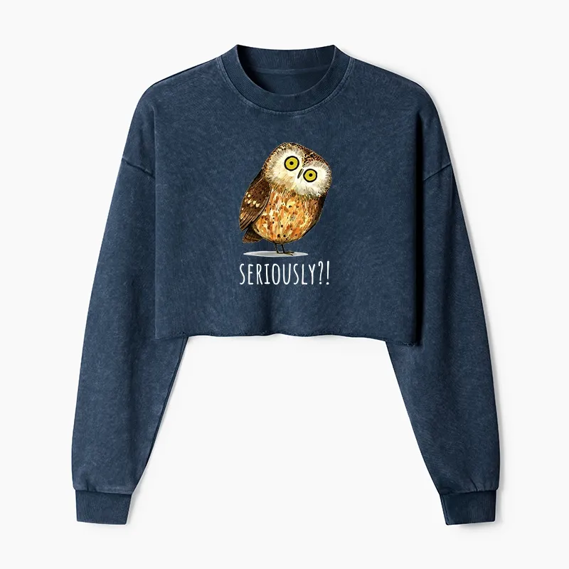 Tokyo-Tiger Seriously Confused Owl Meme Art Washed Crop Sweatshirt