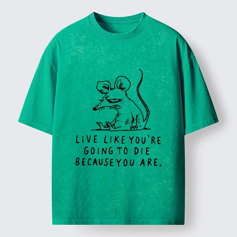 Tokyo-Tiger Funny Meme Sarcastic Rat Life Truth Washed T-Shirt