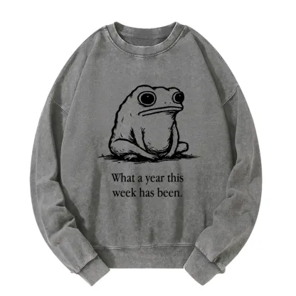 Tokyo-Tiger This Week Feels Like A Whole Year Washed Sweatshirt