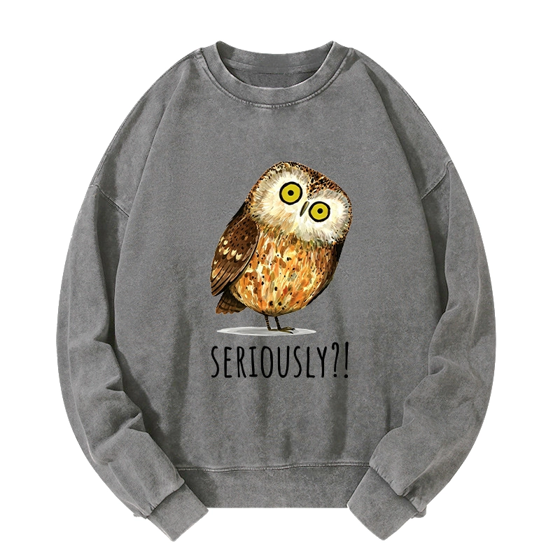 Tokyo-Tiger Seriously Confused Owl Meme Art Washed Sweatshirt