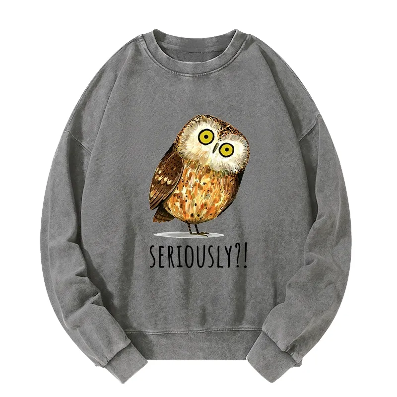 Tokyo-Tiger Seriously Confused Owl Meme Art Washed Sweatshirt