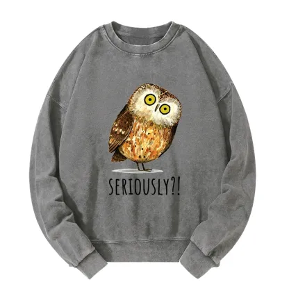 Tokyo-Tiger Seriously Confused Owl Meme Art Washed Sweatshirt