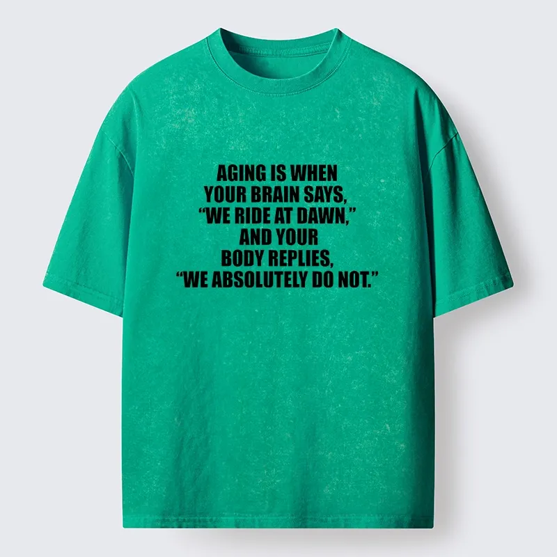 Tokyo-Tiger Funny Aging Brain Body Meme Washed T-Shirt