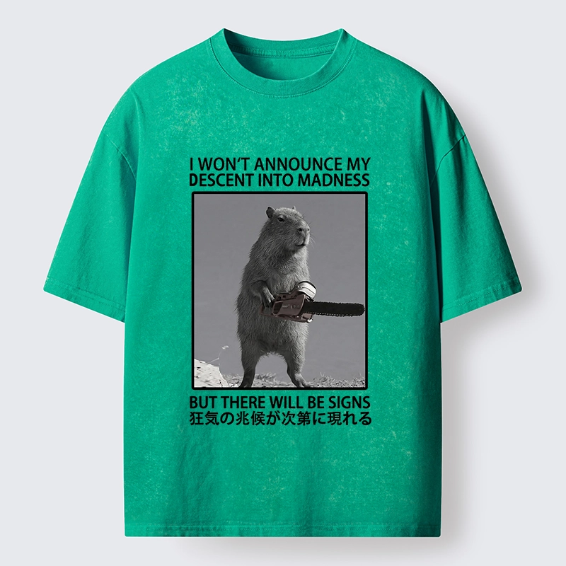 Tokyo-Tiger Funny Meme Chainsaw Capybara Madness Washed T-Shirt