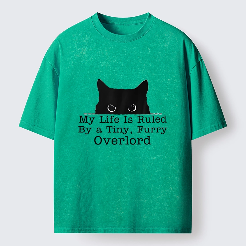 Tokyo-Tiger Cat Rules Human Life Simple Graphic Washed T-Shirt