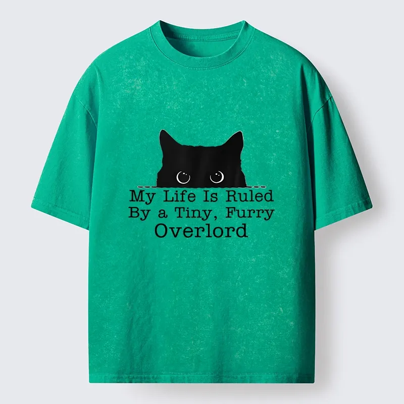 Tokyo-Tiger Cat Rules Human Life Simple Graphic Washed T-Shirt