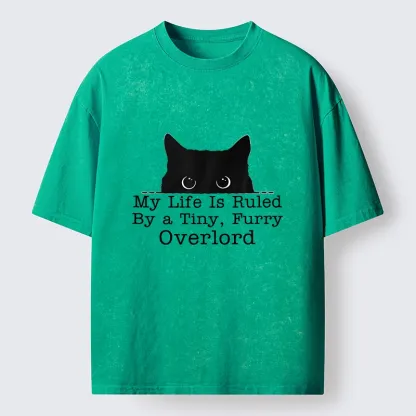 Tokyo-Tiger Cat Rules Human Life Simple Graphic Washed T-Shirt
