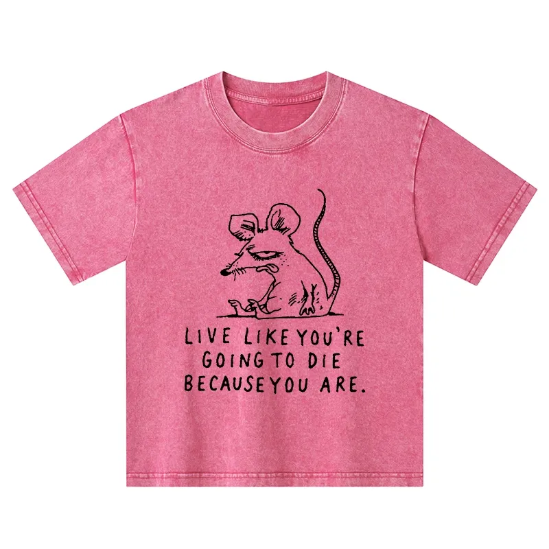 Tokyo-Tiger Funny Meme Sarcastic Rat Life Truth Kids Washed T-Shirt
