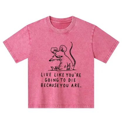 Tokyo-Tiger Funny Meme Sarcastic Rat Life Truth Kids Washed T-Shirt
