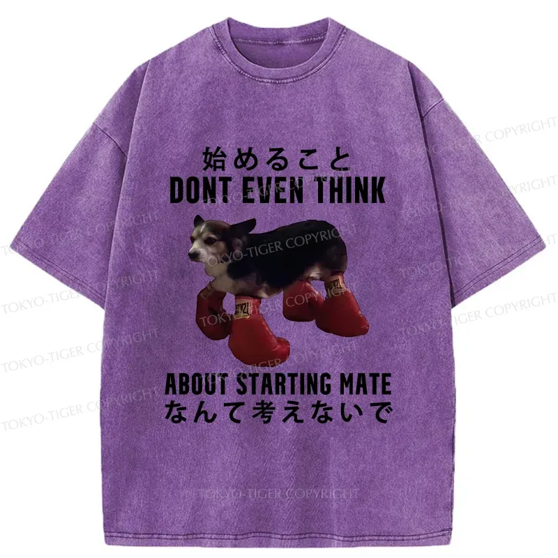 Tokyo-Tiger Funny Violent Boxer Washed T-Shirt