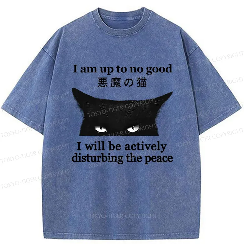 Tokyo-Tiger Cat Disturbing The Peace Washed T-Shirt