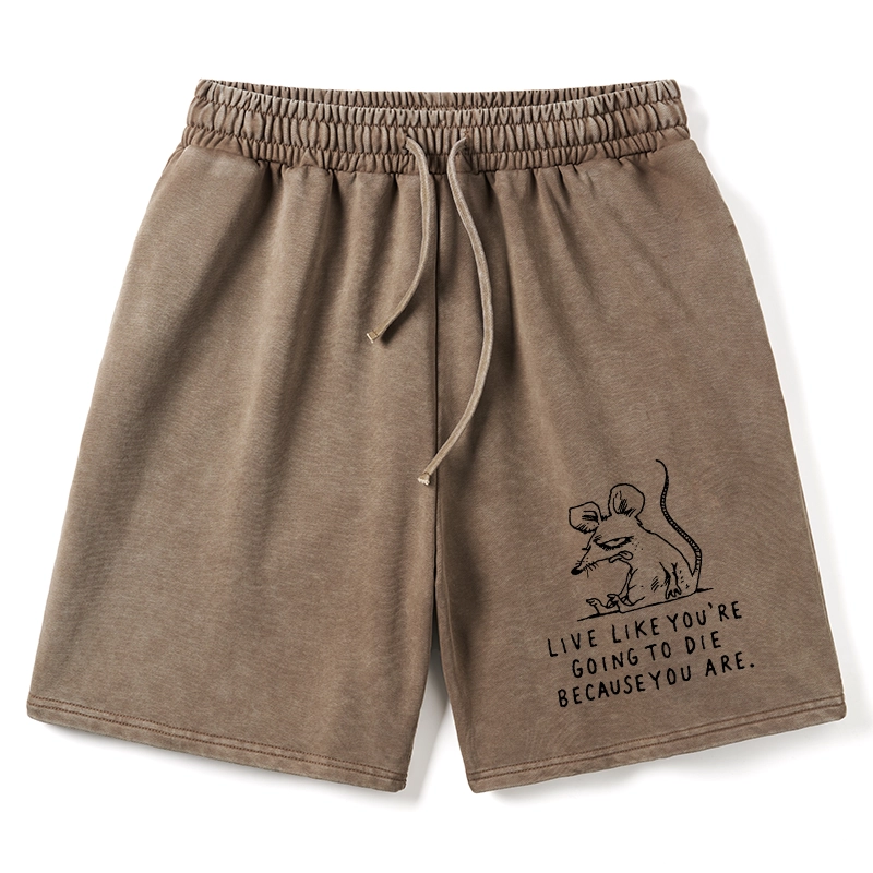Tokyo-Tiger Funny Meme Sarcastic Rat Life Truth Washed Shorts