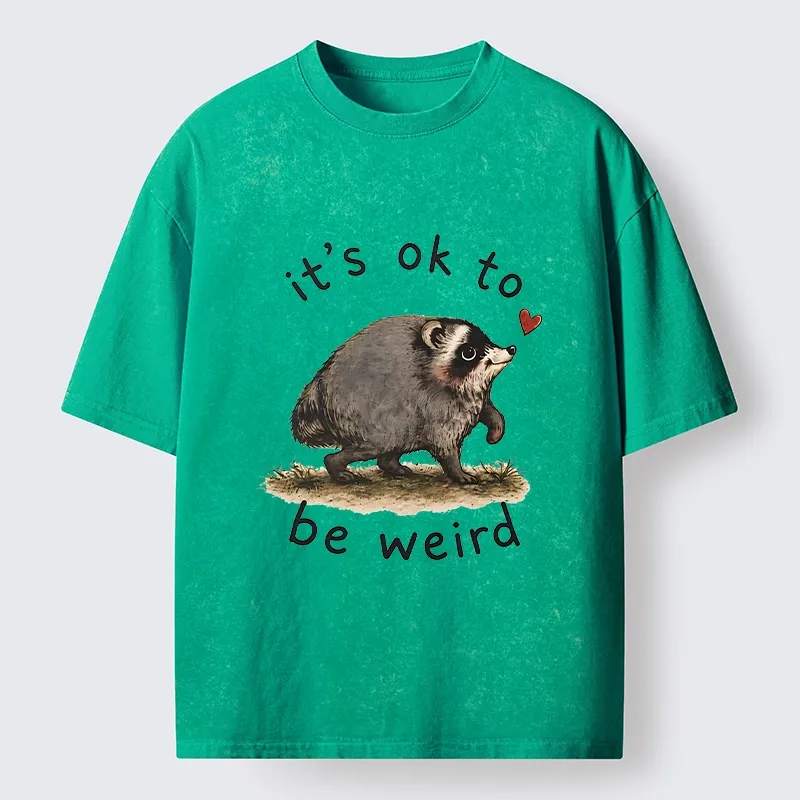 Tokyo-Tiger Jimothy Weird Raccoon Art Washed T-Shirt