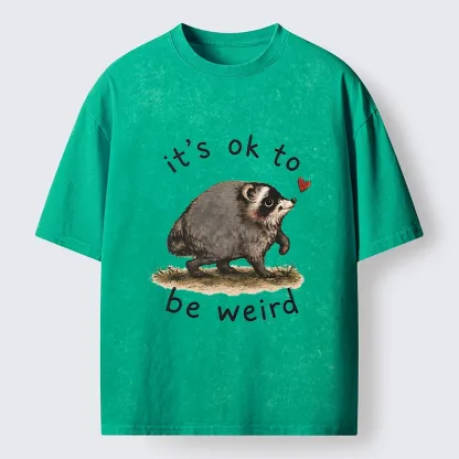 Tokyo-Tiger Jimothy Weird Raccoon Art Washed T-Shirt