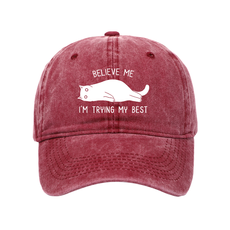 Tokyo-Tiger When Life Is Hard Nap First Washed Cap