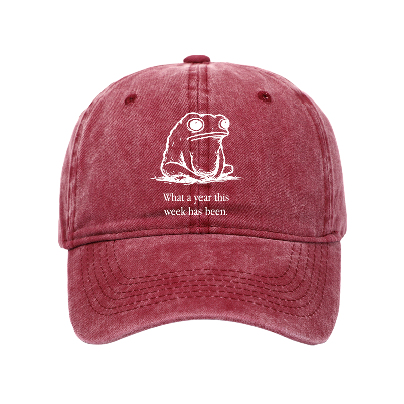 Tokyo-Tiger This Week Feels Like A Whole Year Washed Cap