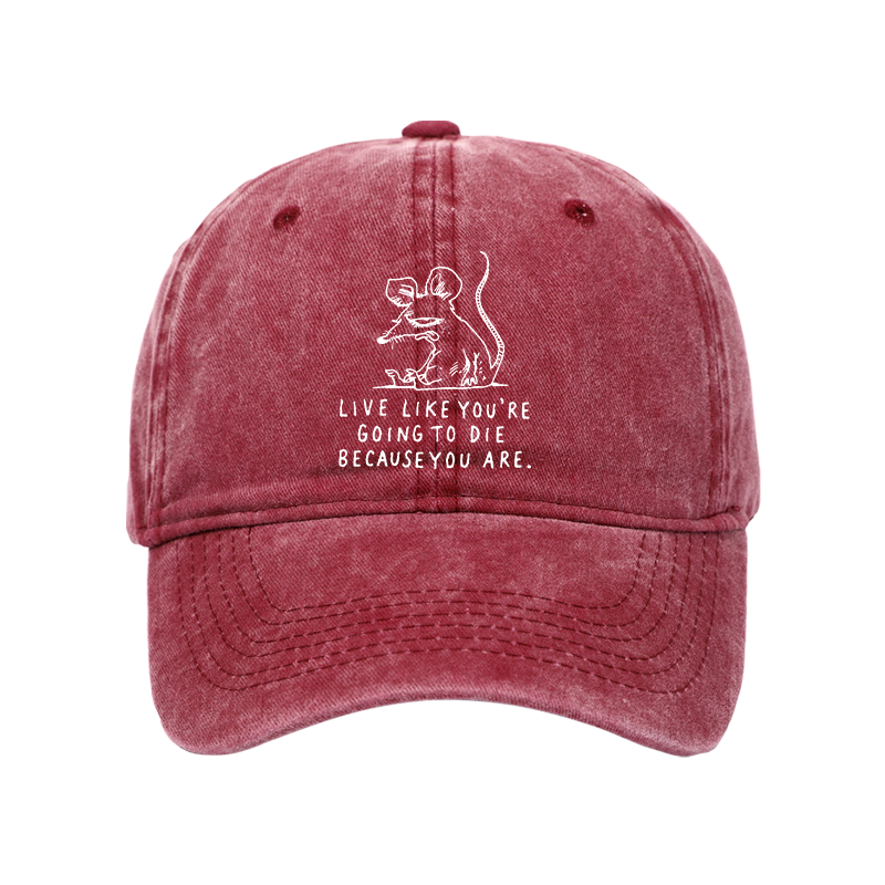 Tokyo-Tiger Funny Meme Sarcastic Rat Life Truth Washed Cap