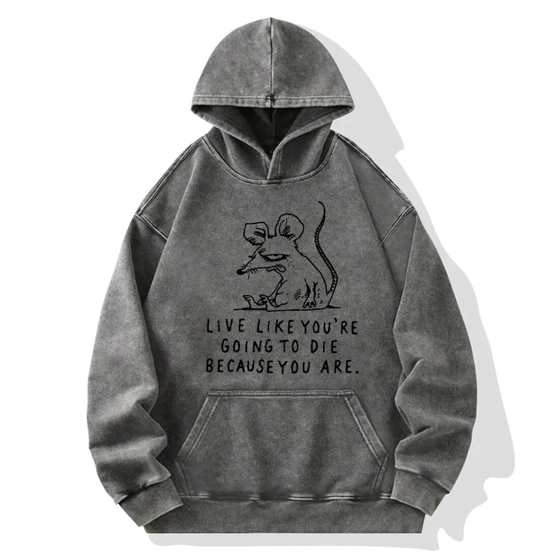 Tokyo-Tiger Funny Meme Sarcastic Rat Life Truth Washed Hoodie