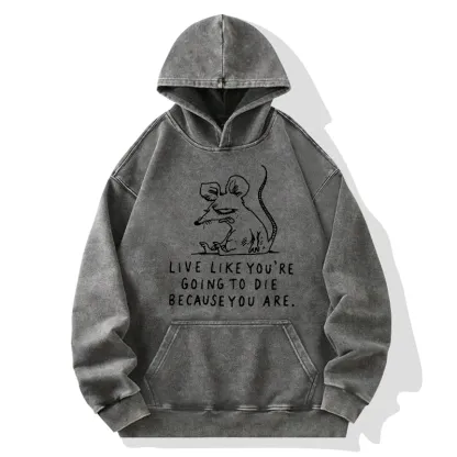 Tokyo-Tiger Funny Meme Sarcastic Rat Life Truth Washed Hoodie