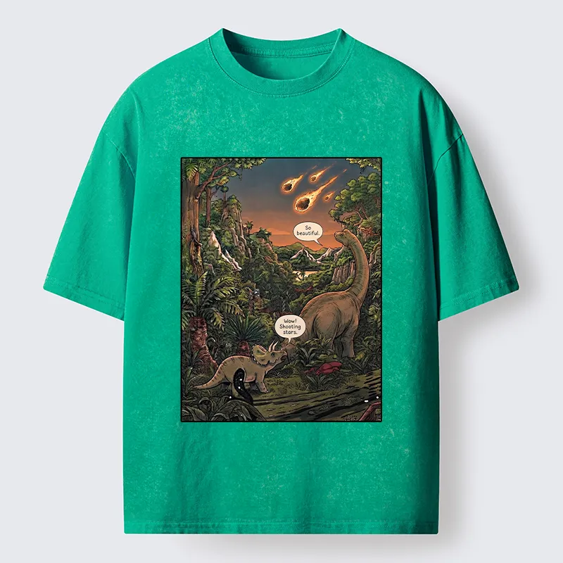 Tokyo‑Tiger Meteor Disaster Funny Washed T-Shirt