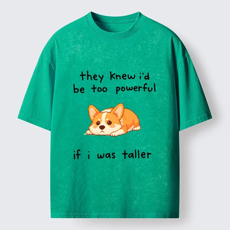 Tokyo-Tiger Funny Short Dog Joke Washed T-Shirt