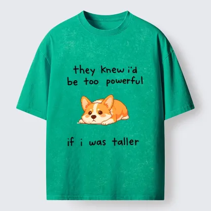 Tokyo-Tiger Funny Short Dog Joke Washed T-Shirt