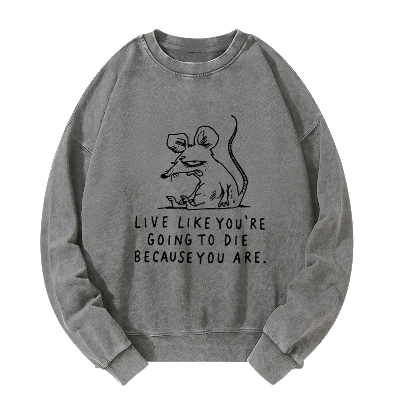 Tokyo-Tiger Funny Meme Sarcastic Rat Life Truth Washed Sweatshirt