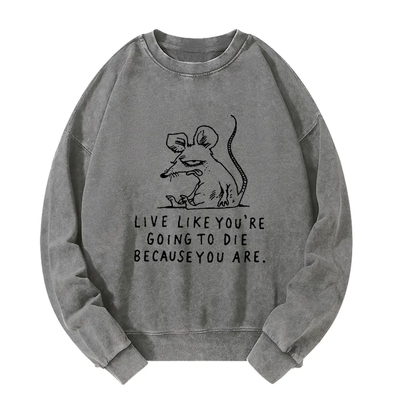 Tokyo-Tiger Funny Meme Sarcastic Rat Life Truth Washed Sweatshirt
