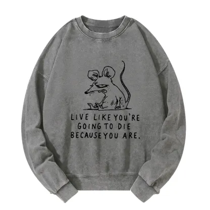 Tokyo-Tiger Funny Meme Sarcastic Rat Life Truth Washed Sweatshirt