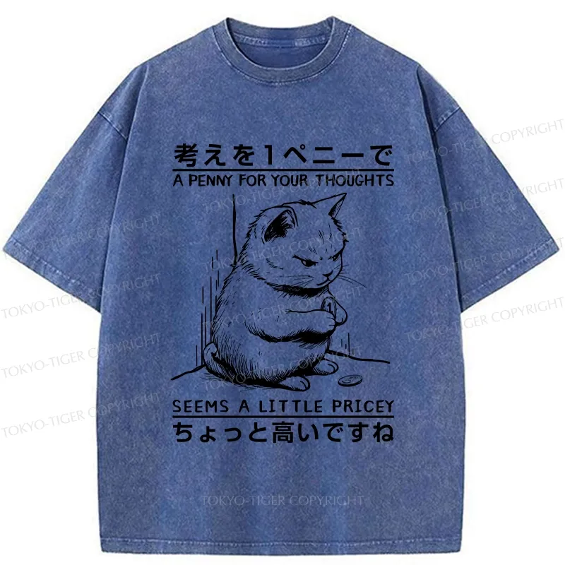 Tokyo-Tiger A Penny For Your Thoughts Washed T-Shirt
