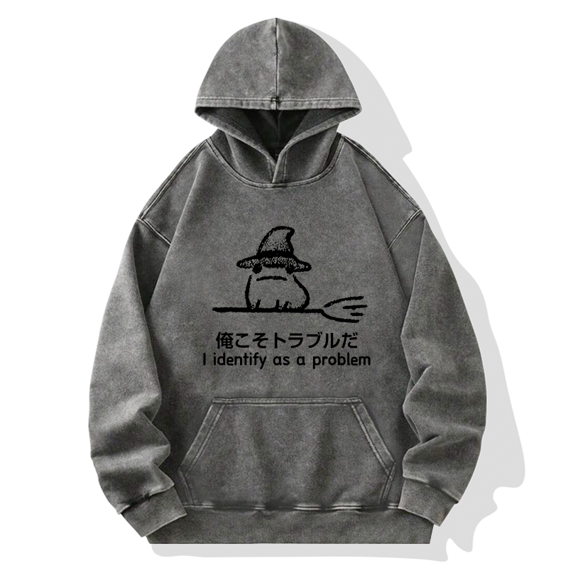 Tokyo-Tiger Mischief Magic Dude Washed Hoodie