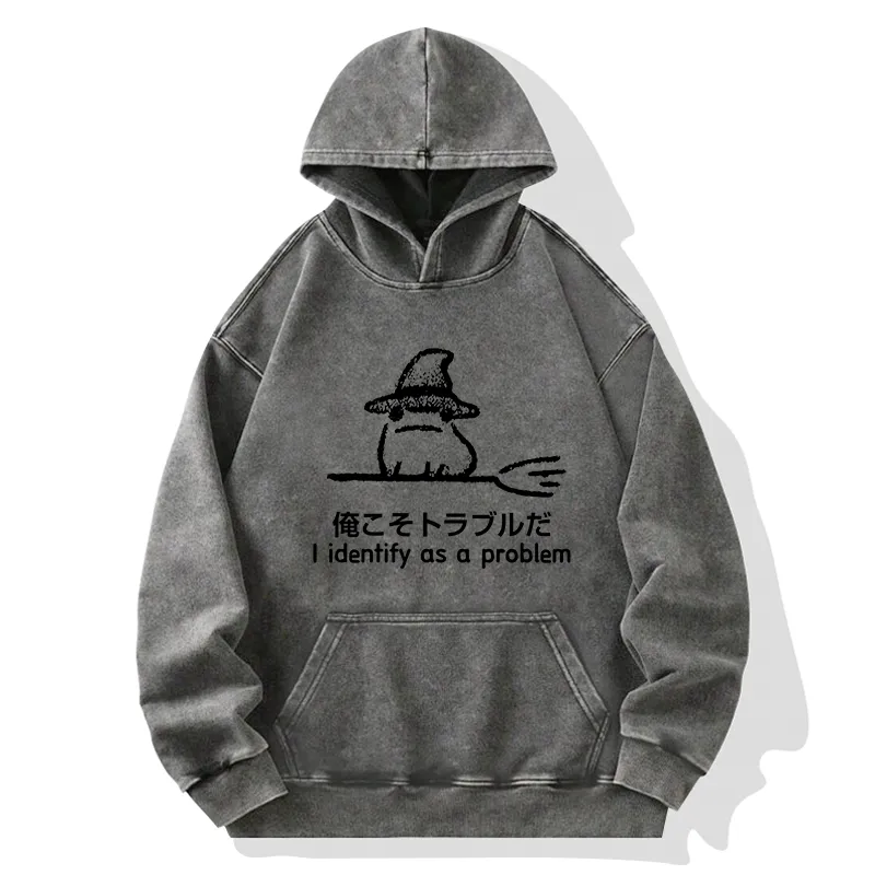 Tokyo-Tiger Mischief Magic Dude Washed Hoodie
